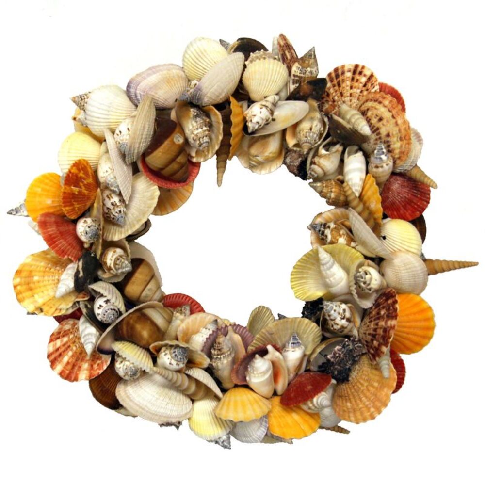 Colorful Natural Mixed Seashell Wreath 12.5 Inch Diameter